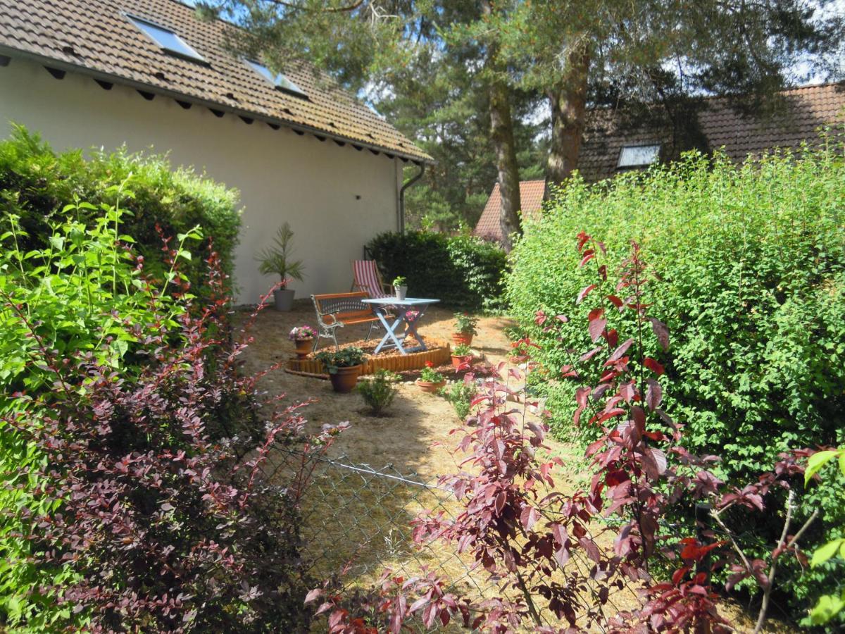 Lenzer Parkblick Am Plauer See מראה חיצוני תמונה