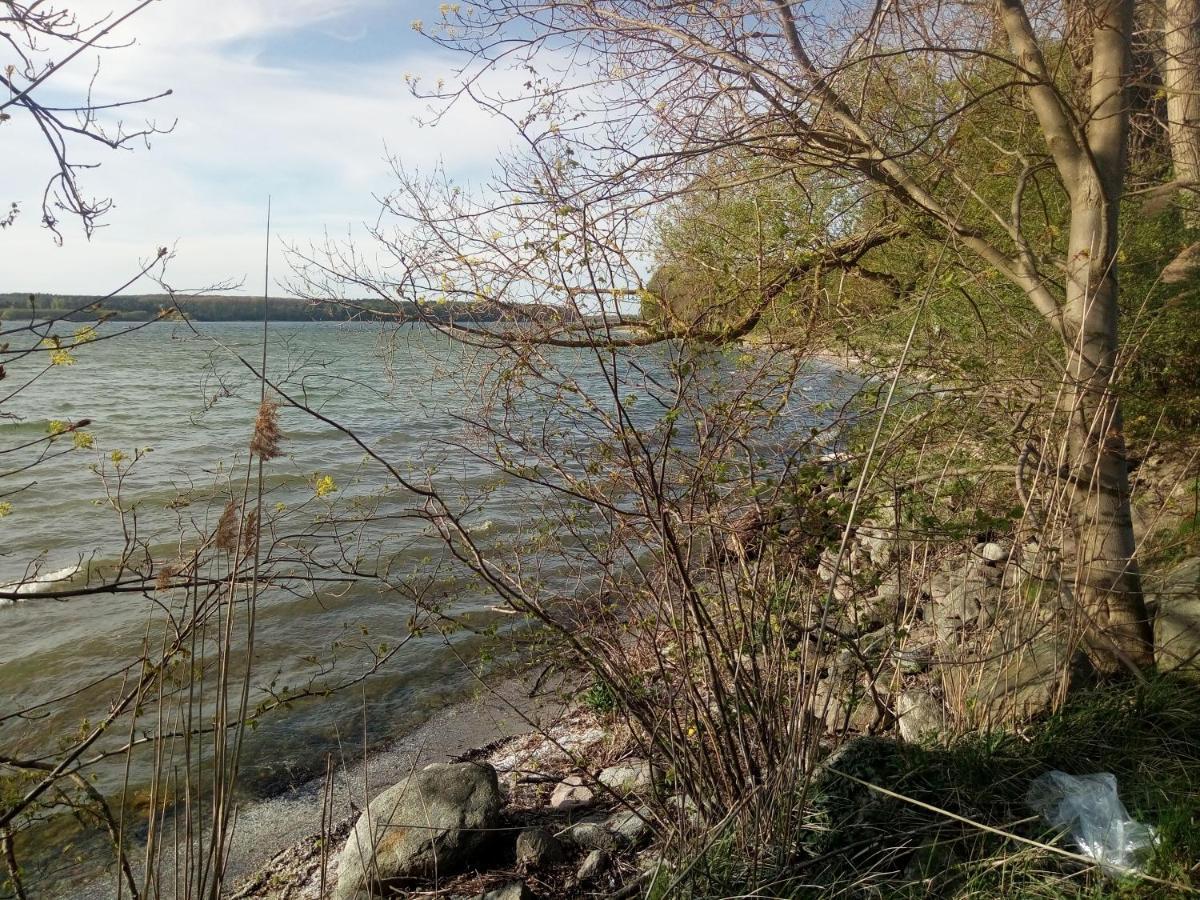 Lenzer Parkblick Am Plauer See מראה חיצוני תמונה