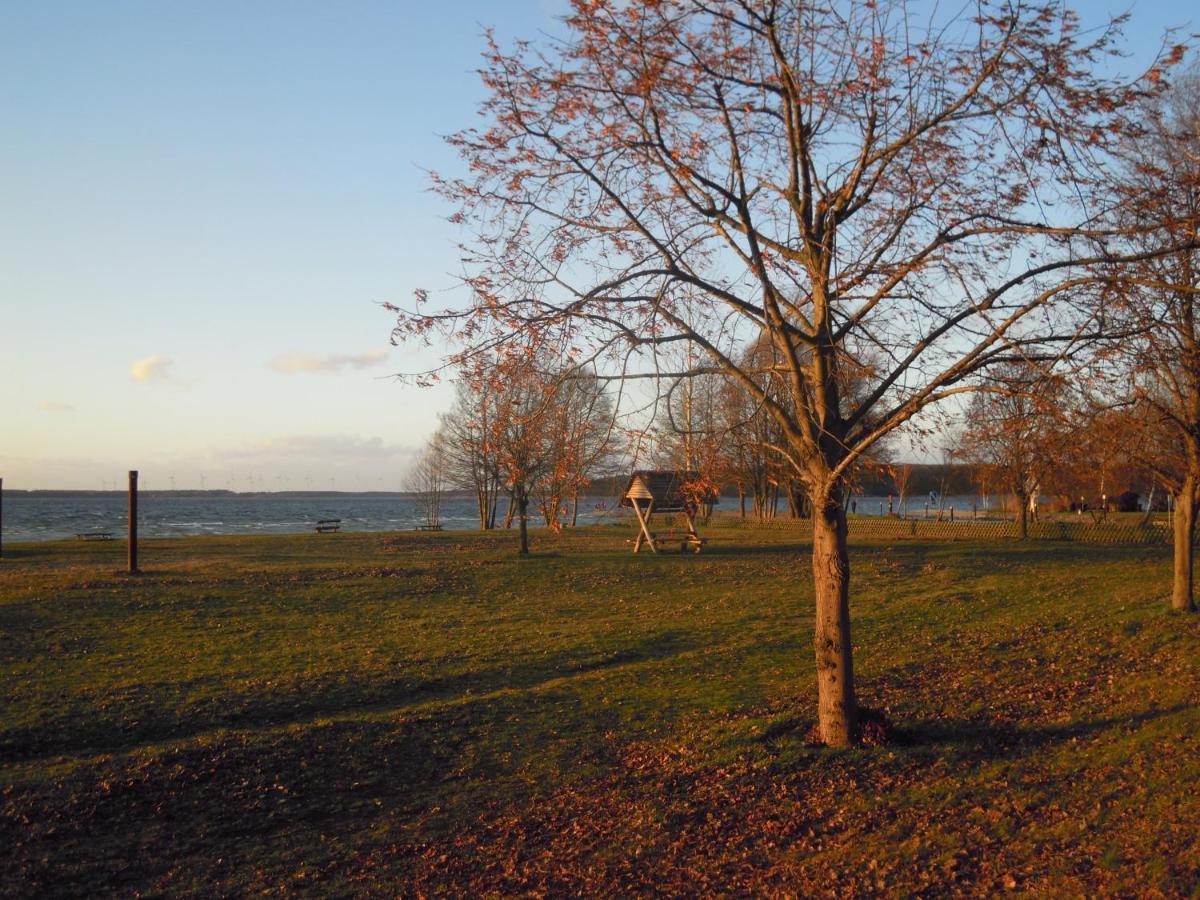 Lenzer Parkblick Am Plauer See מראה חיצוני תמונה