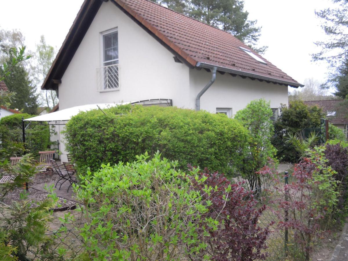 Lenzer Parkblick Am Plauer See מראה חיצוני תמונה